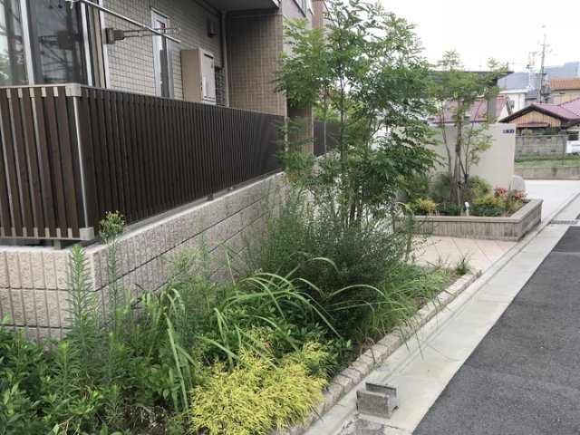 リベーラ辻Ⅱの庭