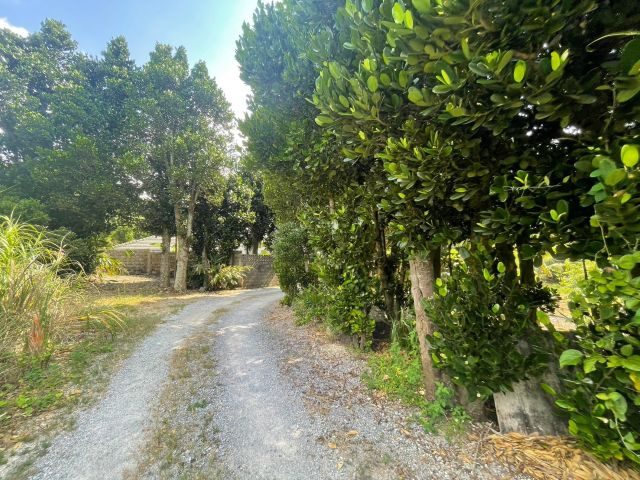 本部町備瀬の外観