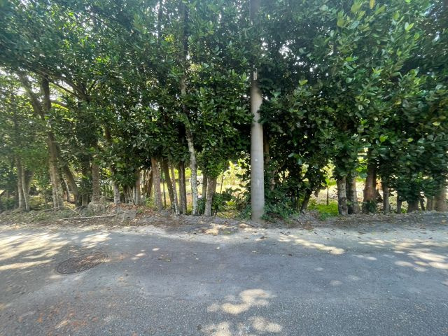 本部町備瀬