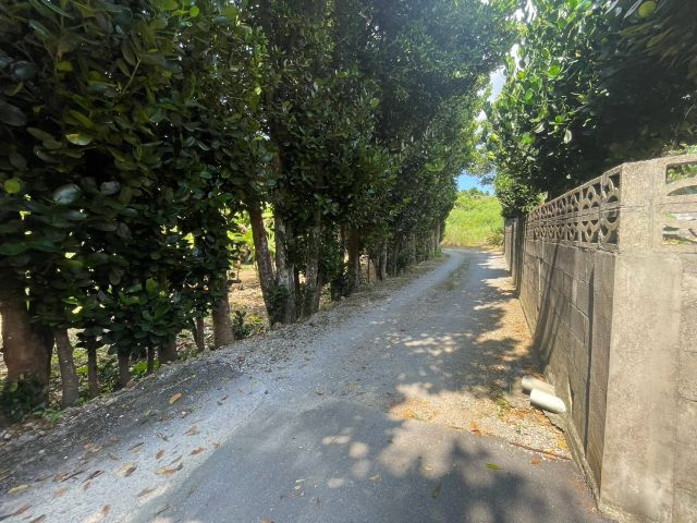 本部町備瀬の外観