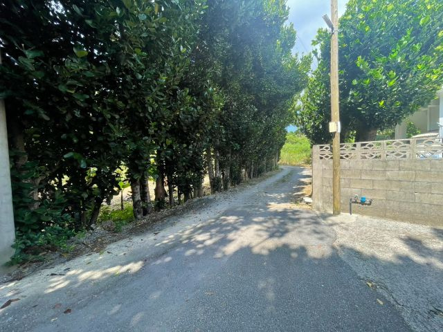 本部町備瀬の外観