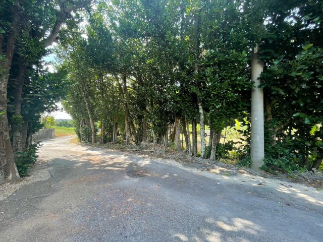 本部町備瀬の外観