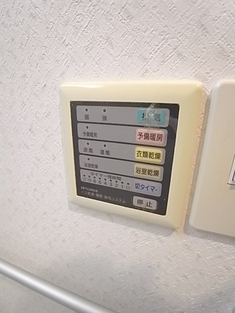 プリマベーラのその他