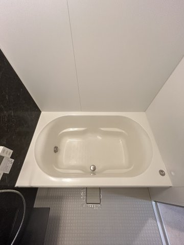 プレサンス松屋町駅前デュオの浴室