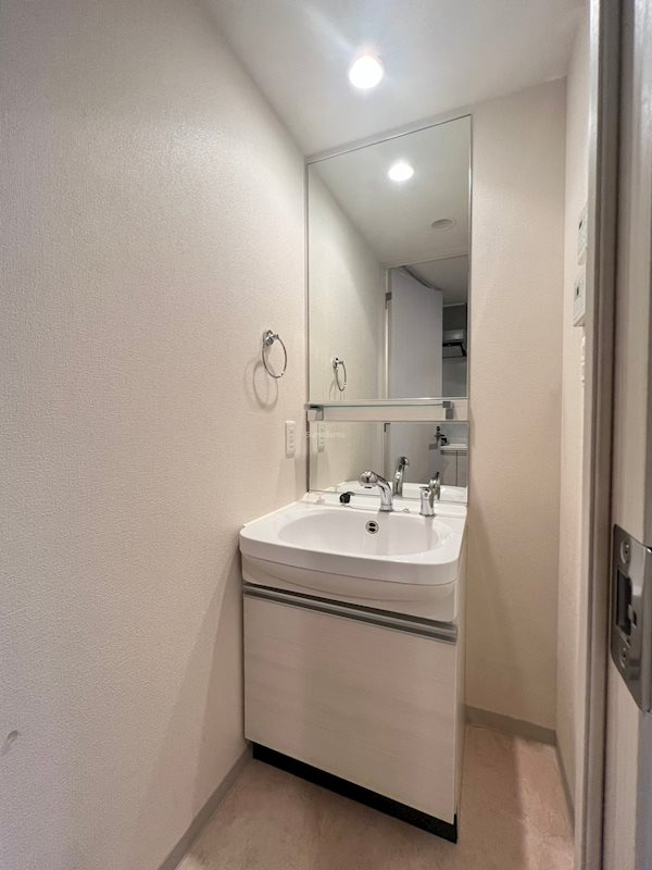 プレサンス松屋町駅前デュオの洗面所