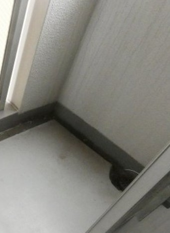横浜市西区平沼１丁目の賃貸マンションのバルコニー