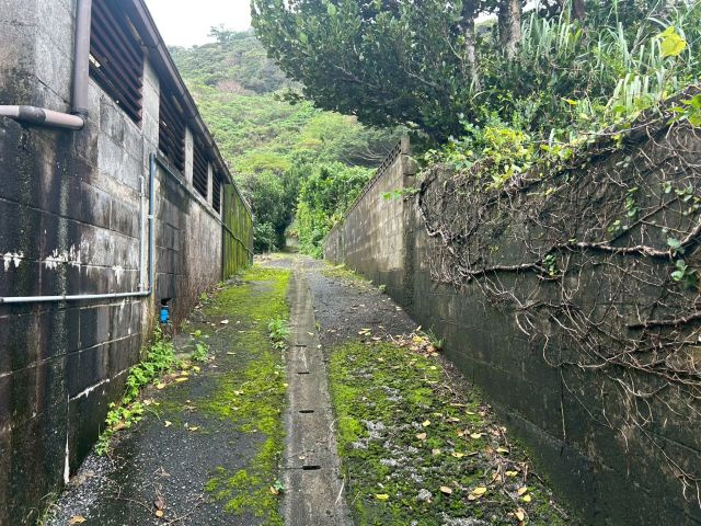 国頭村与那の周辺