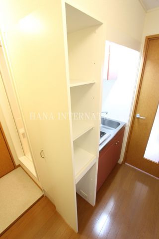 レオパレスラピュタの収納