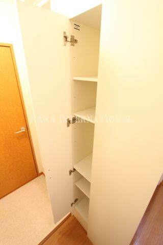 レオパレスラピュタの収納