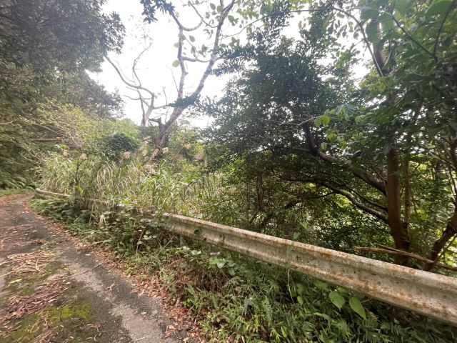 本部町並里の外観