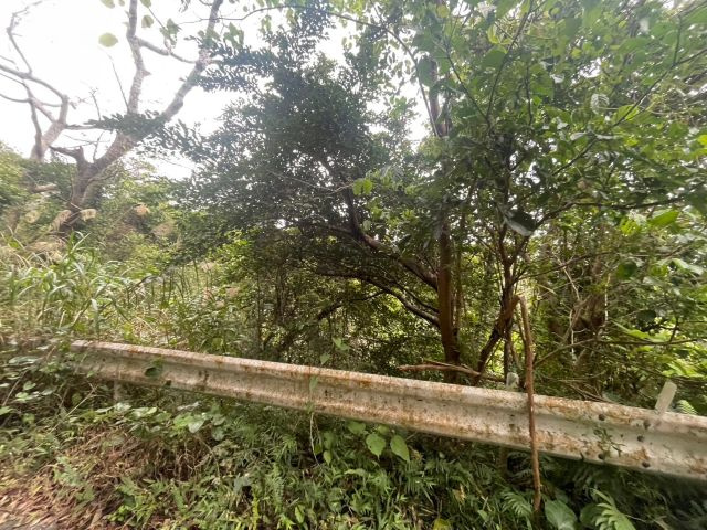 本部町並里の外観