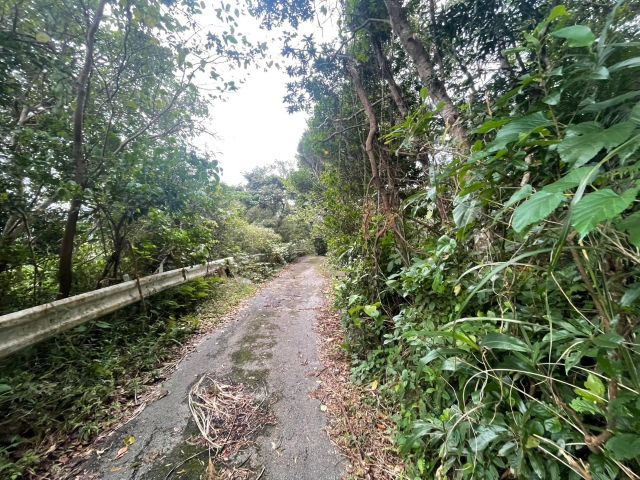 本部町並里