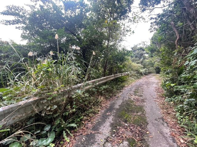 本部町並里の外観