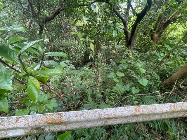 本部町並里の外観