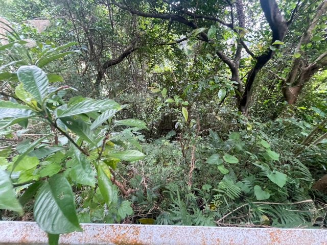 本部町並里の外観