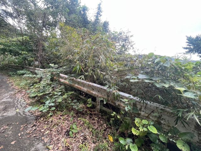 本部町並里の外観