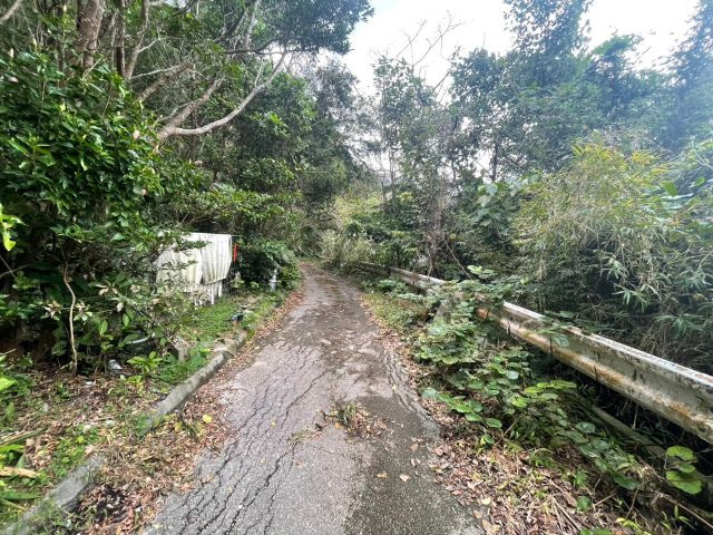 本部町並里の外観