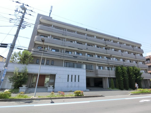 SOCIETY MINAMI-GYOUTOKU(K-017)