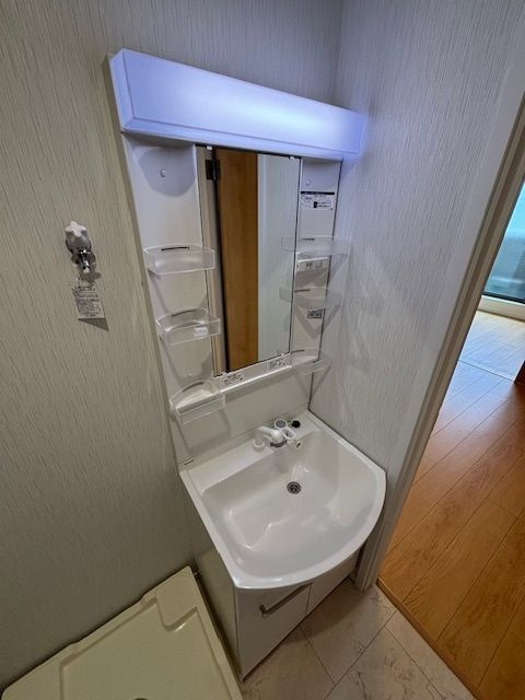 RIZE柏たなかⅠの独立洗面台