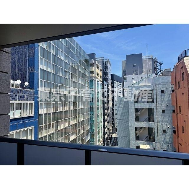 ザ・パークハウス麹町三丁目の展望