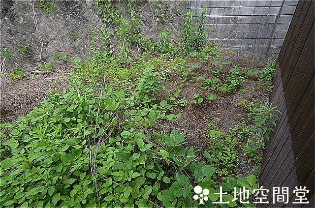 永犬丸4丁目　貸家の庭