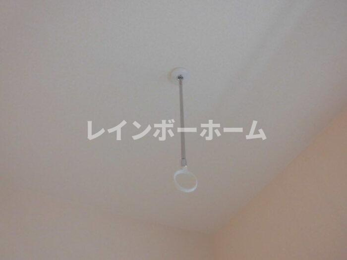 コスモス　Aのその他