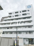 グローリア初穂　新小岩の画像
