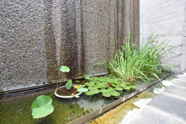 Ｃｏｕｒｓの外観|落ち着いた雰囲気の外観です