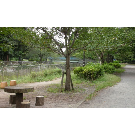 吉祥寺六番館の周辺|公園「善福寺二丁目緑地まで574ｍ」