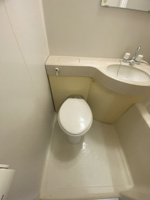 ゆったりとした空間のトイレです