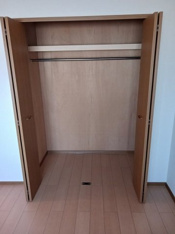 大きなものも収納できそうです