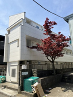 落ち着いた雰囲気の外観です
