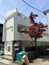 落ち着いた雰囲気の外観です