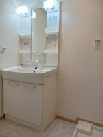 忙しい朝には欠かせない洗面所です