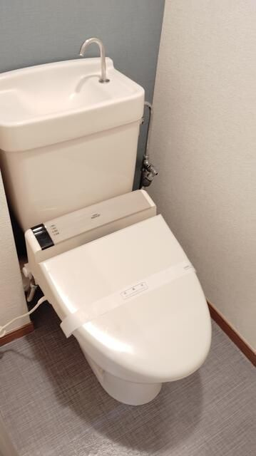 グリーンパーク田園１９号のトイレ