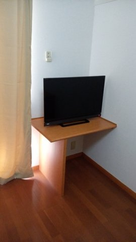 ｔｖ