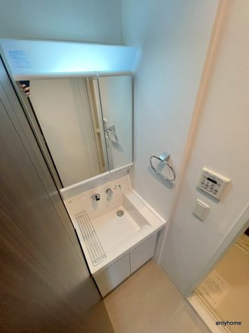 ブラウ本町東　仲介手数料無料の洗面所