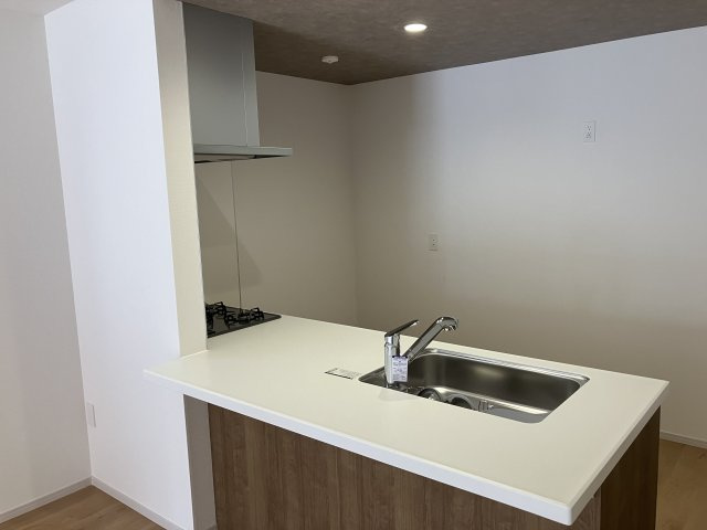 名古屋市中川区打出１丁目の新築一戸建のキッチン|◇キッチン◇　　人気の対面式フラットキッチン・食洗機・浄水器一体型水栓・静音仕様シンク・薄型換気扇・床下収納庫