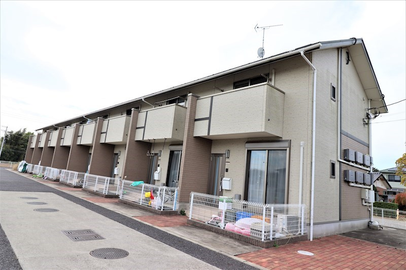 Ａｉｓｈｉｉ　Ｐｅｅｒ の外観