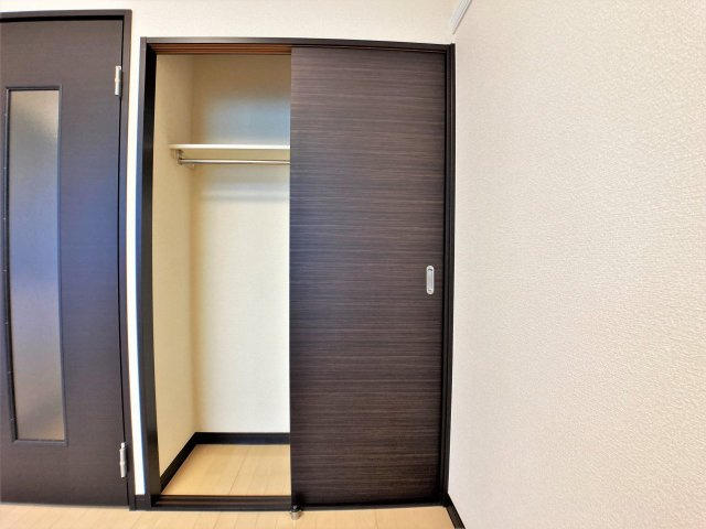 レオネクストさくの内装|閉まっている扉側にも同様な収納スペースがあります