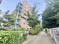 コータースそれいゆの画像