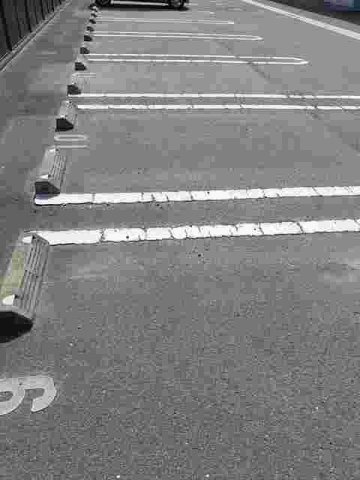 サンパティーク・パレス　Ｃの駐車場|駐車場に車を止められます
