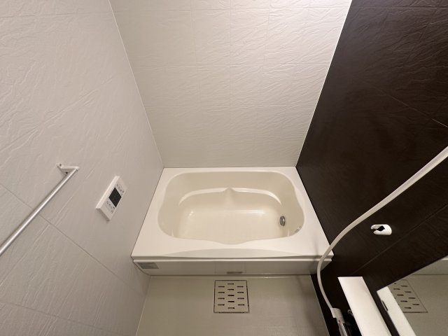 川崎市多摩区菅５丁目の賃貸マンションの浴室