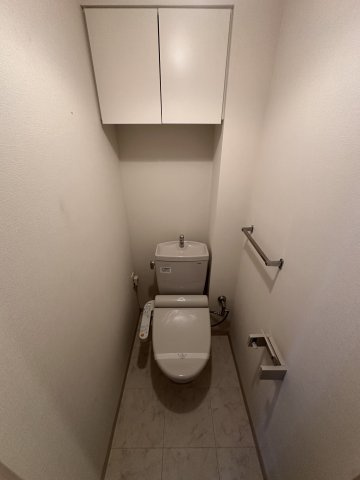 川崎市多摩区菅５丁目の賃貸マンションのトイレ