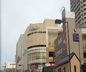 パールドゥＮ　府中の周辺|ＫＵＲＵＲＵまで700m