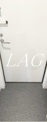 【玄関】 | (仮称)ジーメゾン淵野辺サウス | 玄関です。（同一仕様）