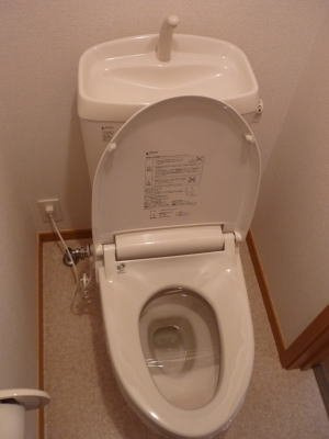 ティエラⅢのトイレ