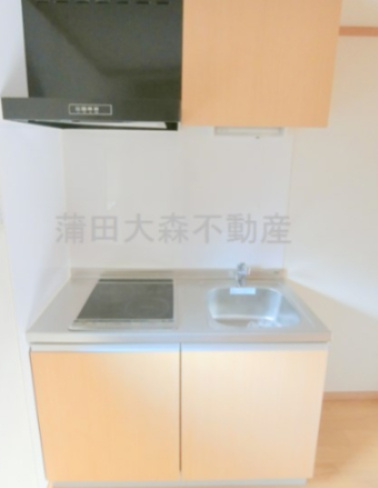 CHAMBRE NISHIKAMATA(シャンブルニシカマタのキッチン|2口IHシステムキッチン