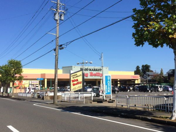 グランブルーのその他