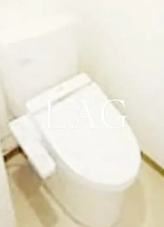 【トイレ】 | ライジングプレイス綾瀬三番館 | トイレです。
